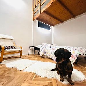 Appartement met een Slaapkamer